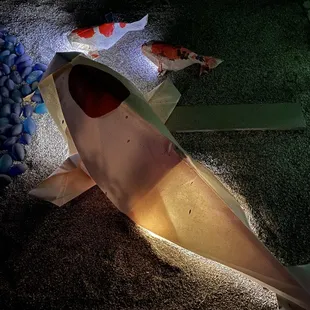 Origami koi (there is also a real koi pond)