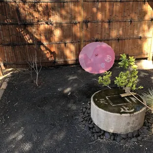 One example of a garden