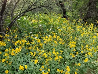 Rio Vista Natural Resources Park