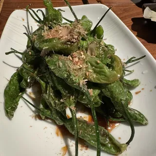 Shishito Pepper