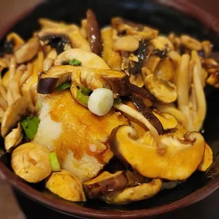 Triple mushroom tofu