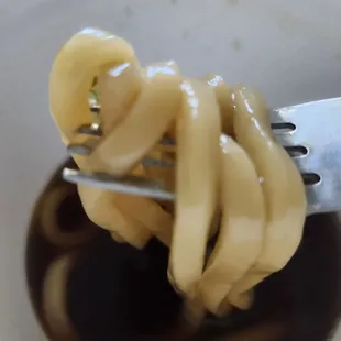 Fat tender udon noodles