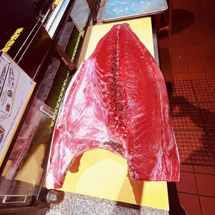 bluefin tuna