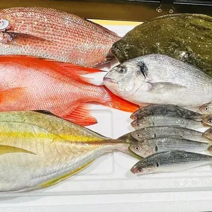Daily fresh
