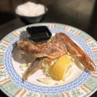 Rice