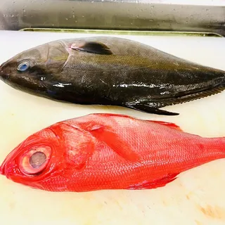 Kanpachi