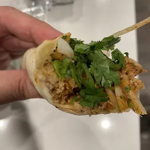 a hand holding a taco