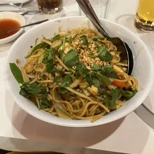 Garlic Tofu Noodles