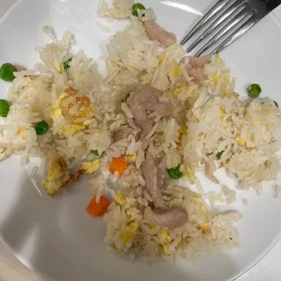 Slimy, uncooked, un-fried fried rice.