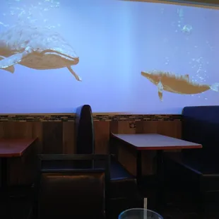 sushi and sashimi, interior