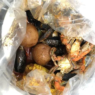 shellfish, mussels, oysters and mussels, oysters, food