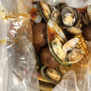 food, oysters, mussels, shellfish, oysters and mussels