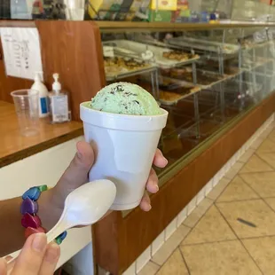 Mint chip thrifty ice cream