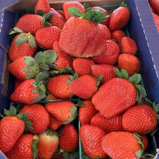 half flat of todays berries $15