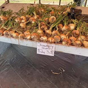 onions for sale at a farmers market