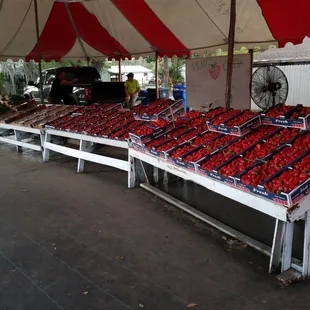 Yummy Farms Strawberrys Good Stuff!