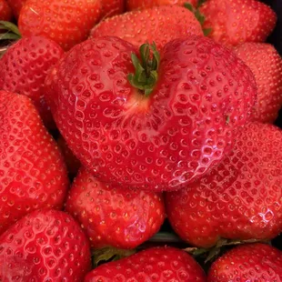 Delicious!!!