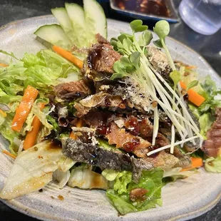 Sa6.5. Salmon Skin Salad