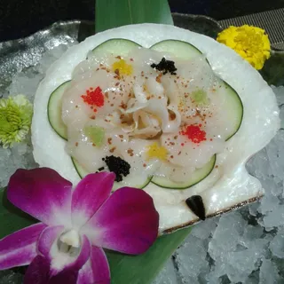 Scallop