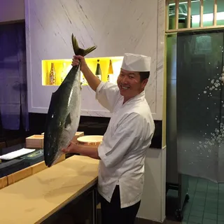 Yellowtail