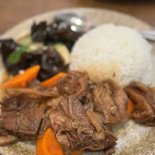 K12. Braised Beef Brisket and Beef Tendon over Rice Plate (Aug 2024) - tender and tasty!