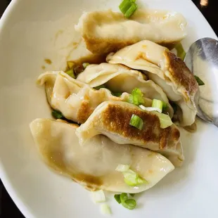 Gyoza