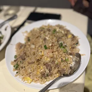 a plate of fried rice