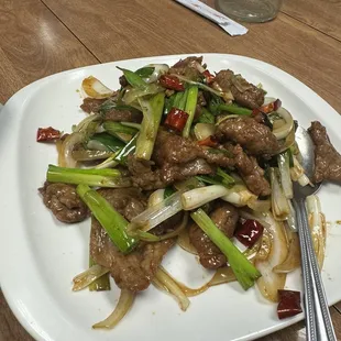 Mongolian Beef
