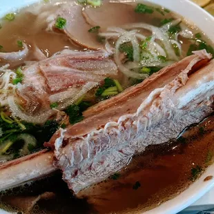 Short Rib Special Combination Pho