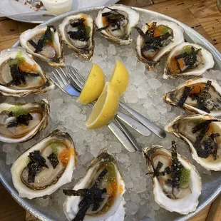 oysters