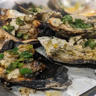 Grilled oysters