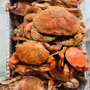 Jumbo blue crabs