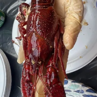 bbq ribs, food, ribs