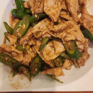 Spicy Shredded Pork
