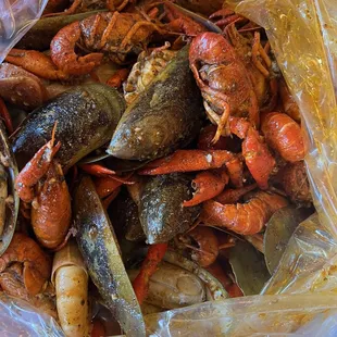 food, mussels, oysters, shellfish, oysters and mussels