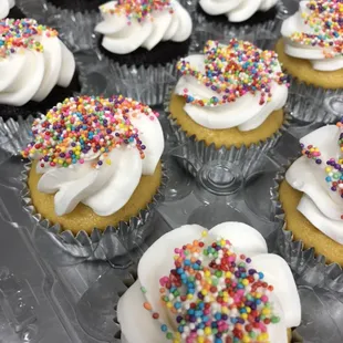 Vanilla &amp; Chocolate Buttercream Cupcakes