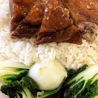 Roast Duck Over Rice