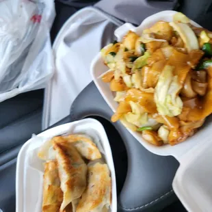 Pan Fried Dumplings and Fried Rice Noodle with Vegetable Special