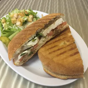 Caprese sandwich on panini bread, comes with side salad.