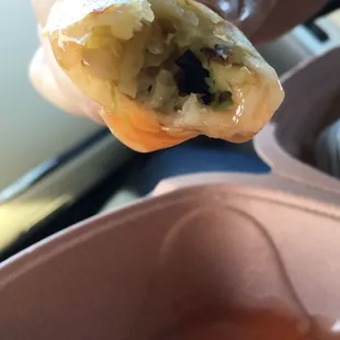 Spring roll (with duck sauce below)