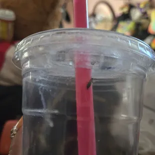 Bug in my drink :/