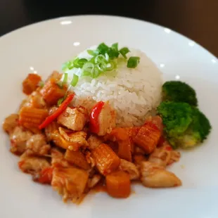 Sichuan Spicy Chicken Don