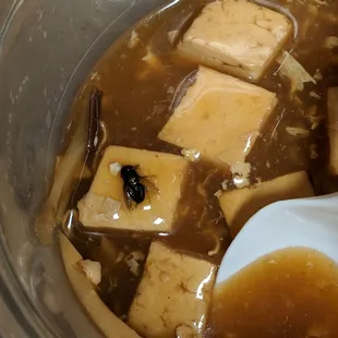 Fly in our hot and sour soup.
