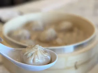 Jiou Chu Dumplings