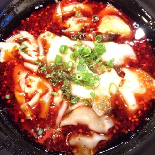 Hot & Sour Won Ton