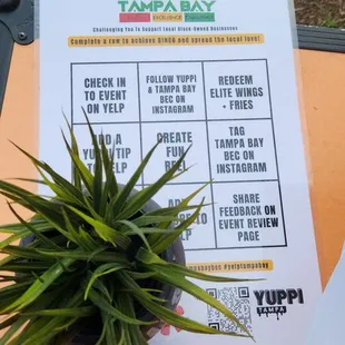 Check out their bingo challenge!