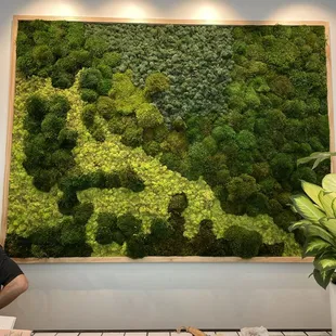 Cool living moss mural