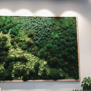 Ariel view and designed with preserved Moss Art #Mossart