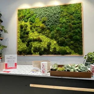 Checkout area