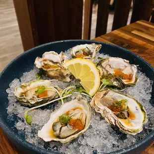 shellfish, food, mussels, oysters and mussels, oysters